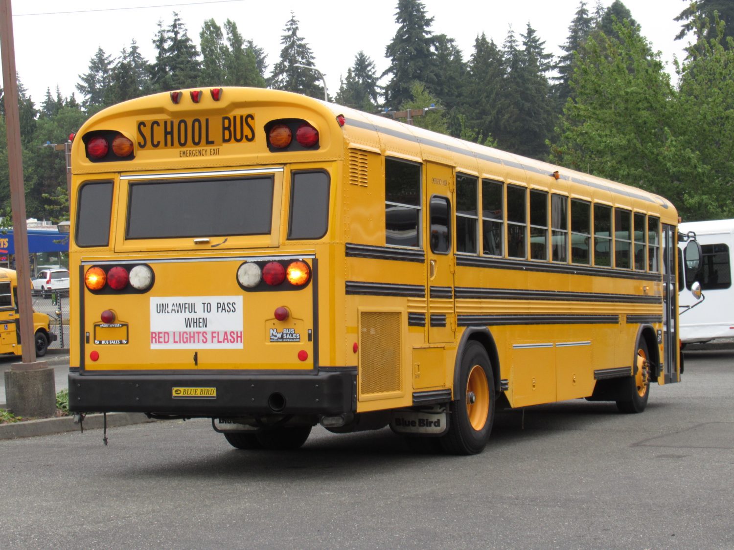 2005 Blue Bird All American 78 Passenger School Bus - B22923 - Image 3