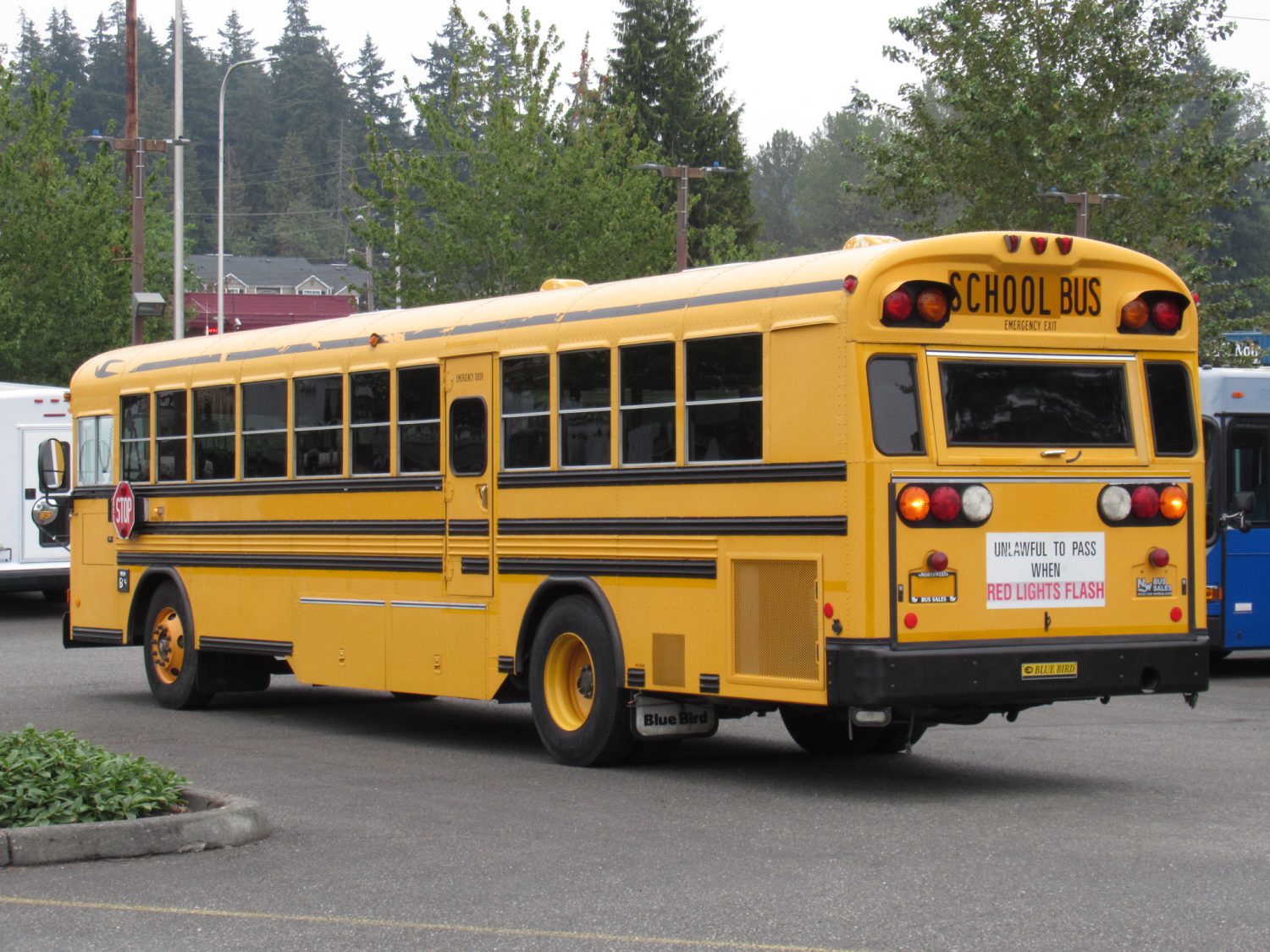 2005 Blue Bird All American 78 Passenger School Bus - B22923 - Image 4