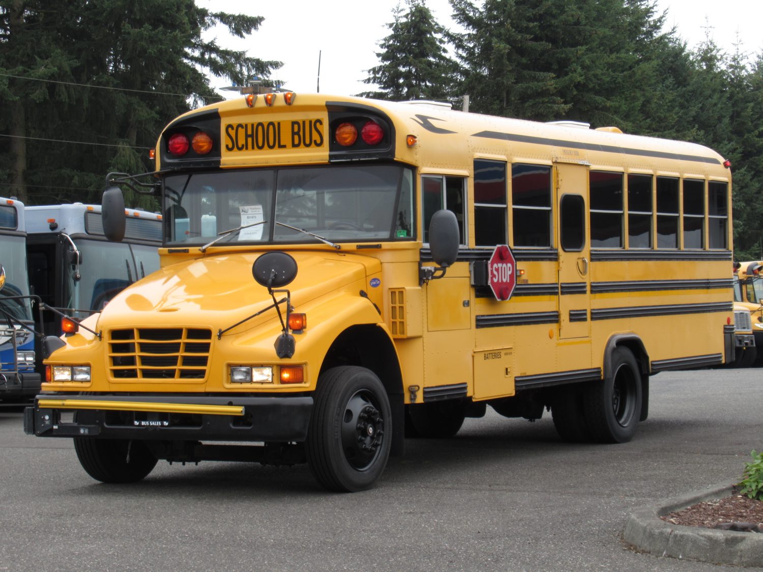 2006 Bluebird Vision 18+2 ADA Short School Bus - B31673 - Image 2