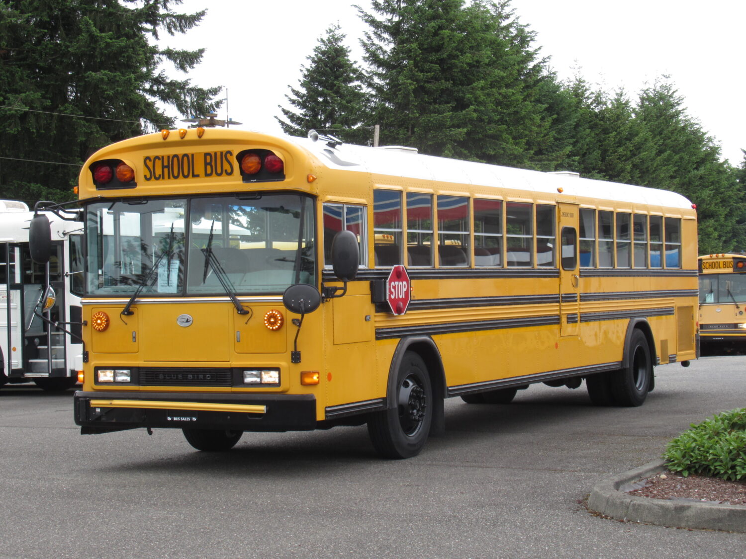 2004 Blue Bird All American 84 Passenger School Bus - B16037 - Image 2