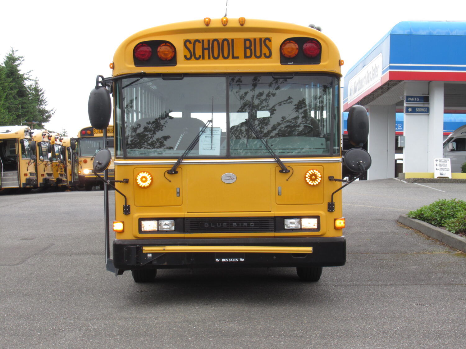2004 Blue Bird All American 84 Passenger School Bus - B16037 - Image 12