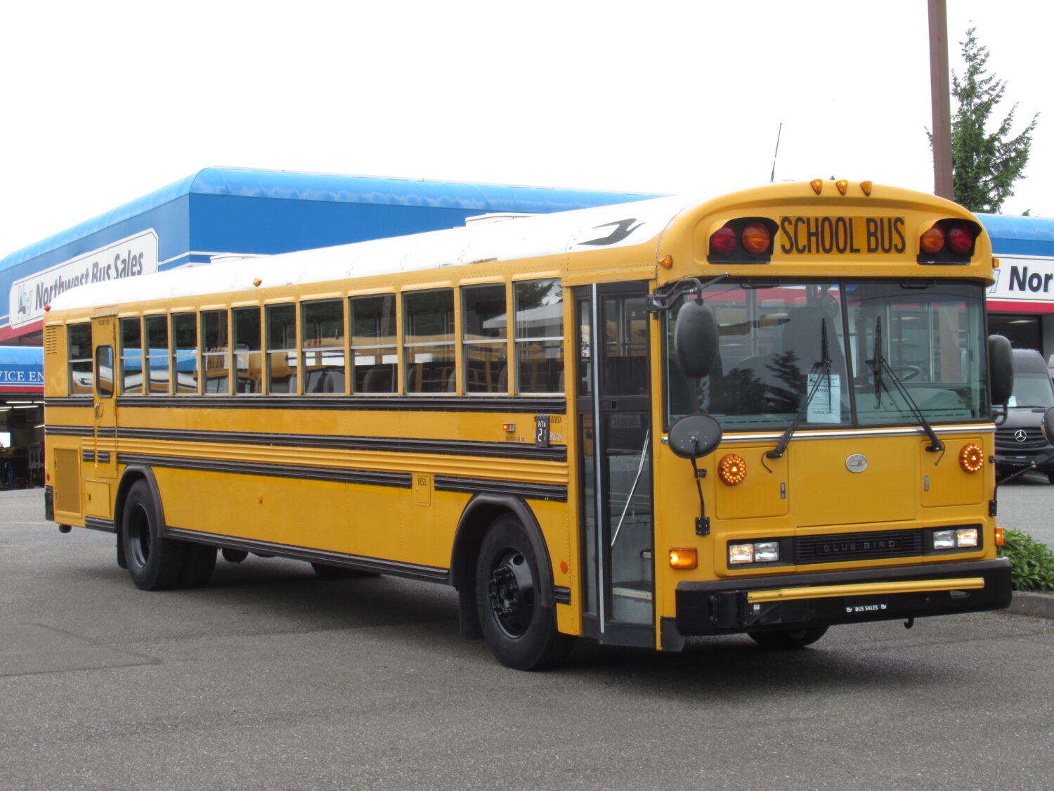 2004 Blue Bird All American 84 Passenger School Bus - B16037