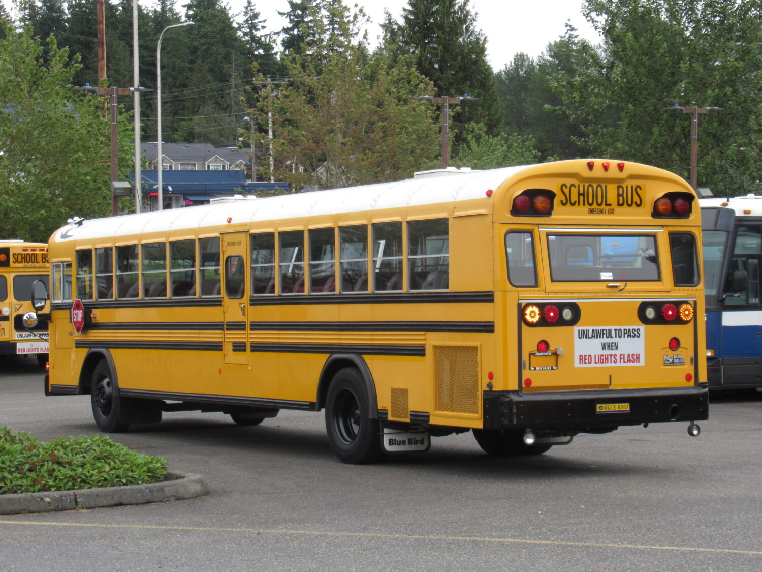 2004 Blue Bird All American 84 Passenger School Bus - B16037 - Image 4