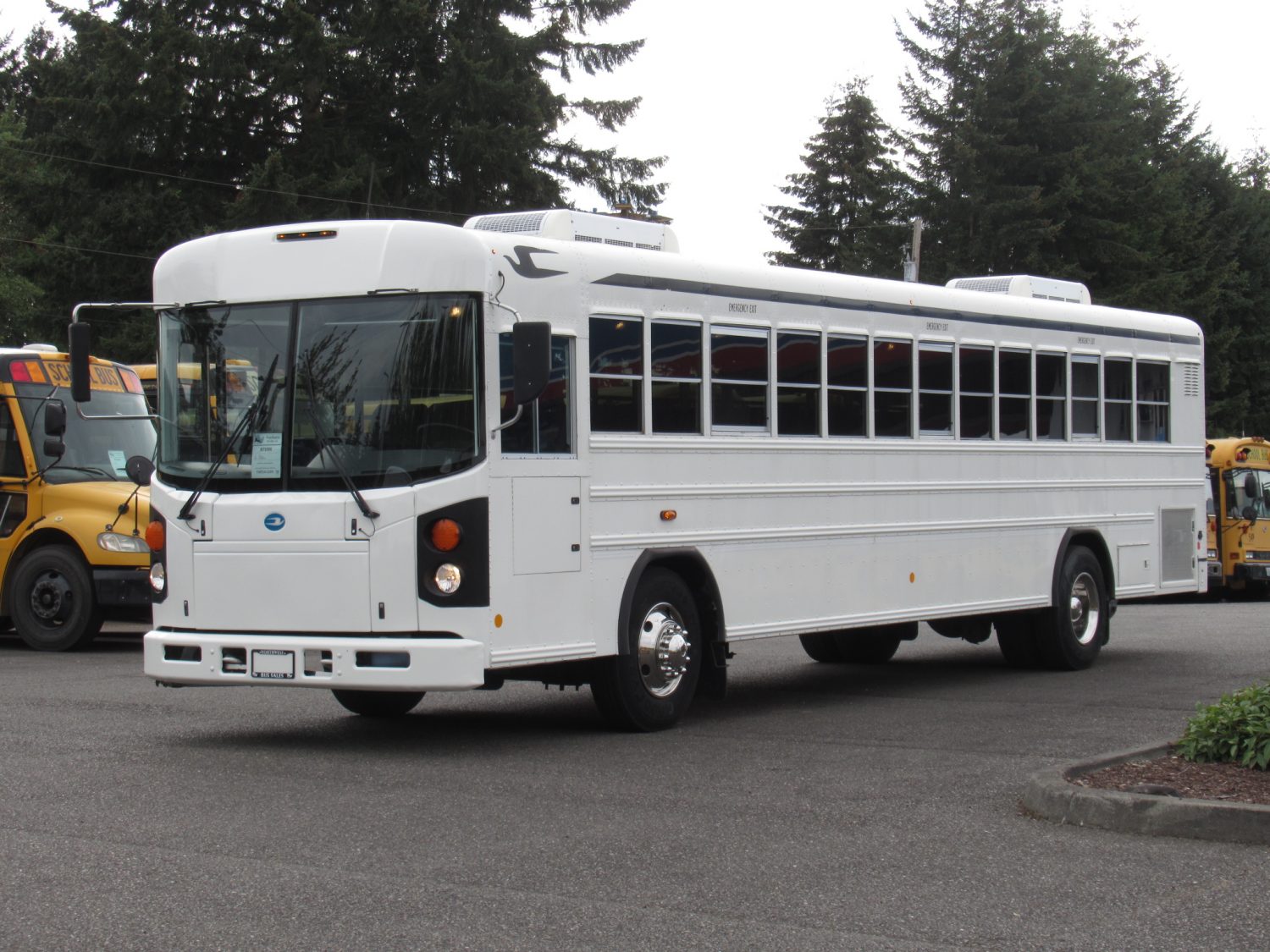 2010 Blue Bird All American 44 Passenger Commercial Bus - B73306 - Image 2