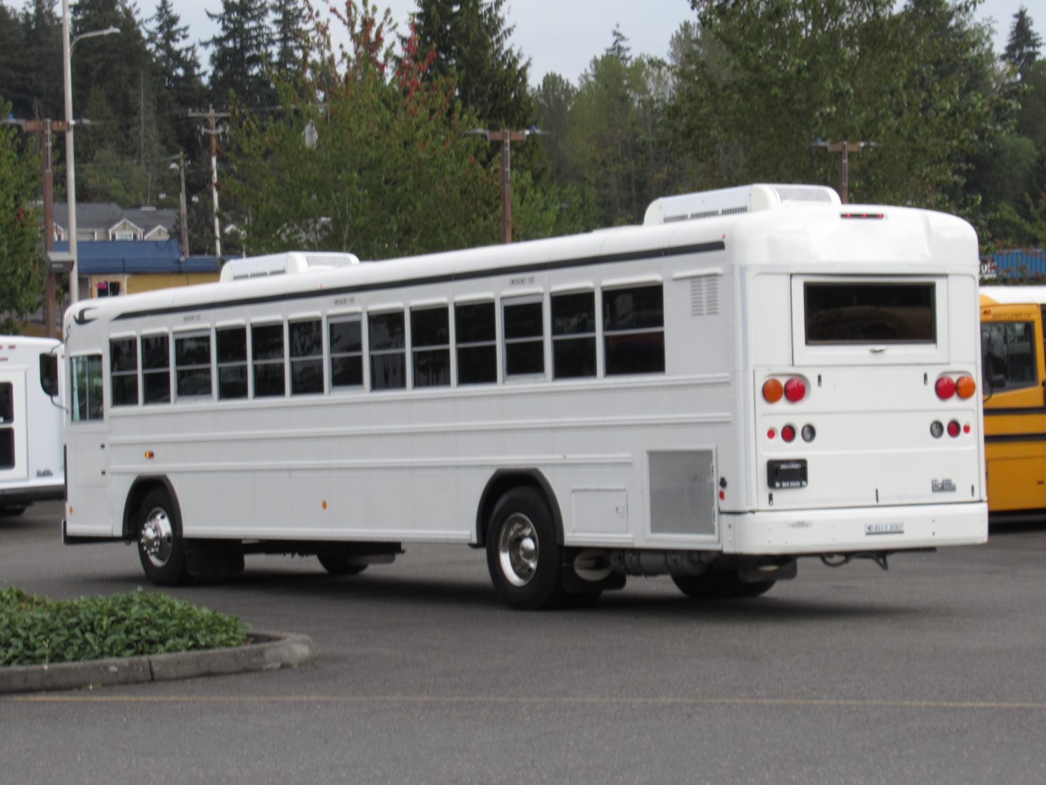 2010 Blue Bird All American 44 Passenger Commercial Bus - B73306 - Image 4
