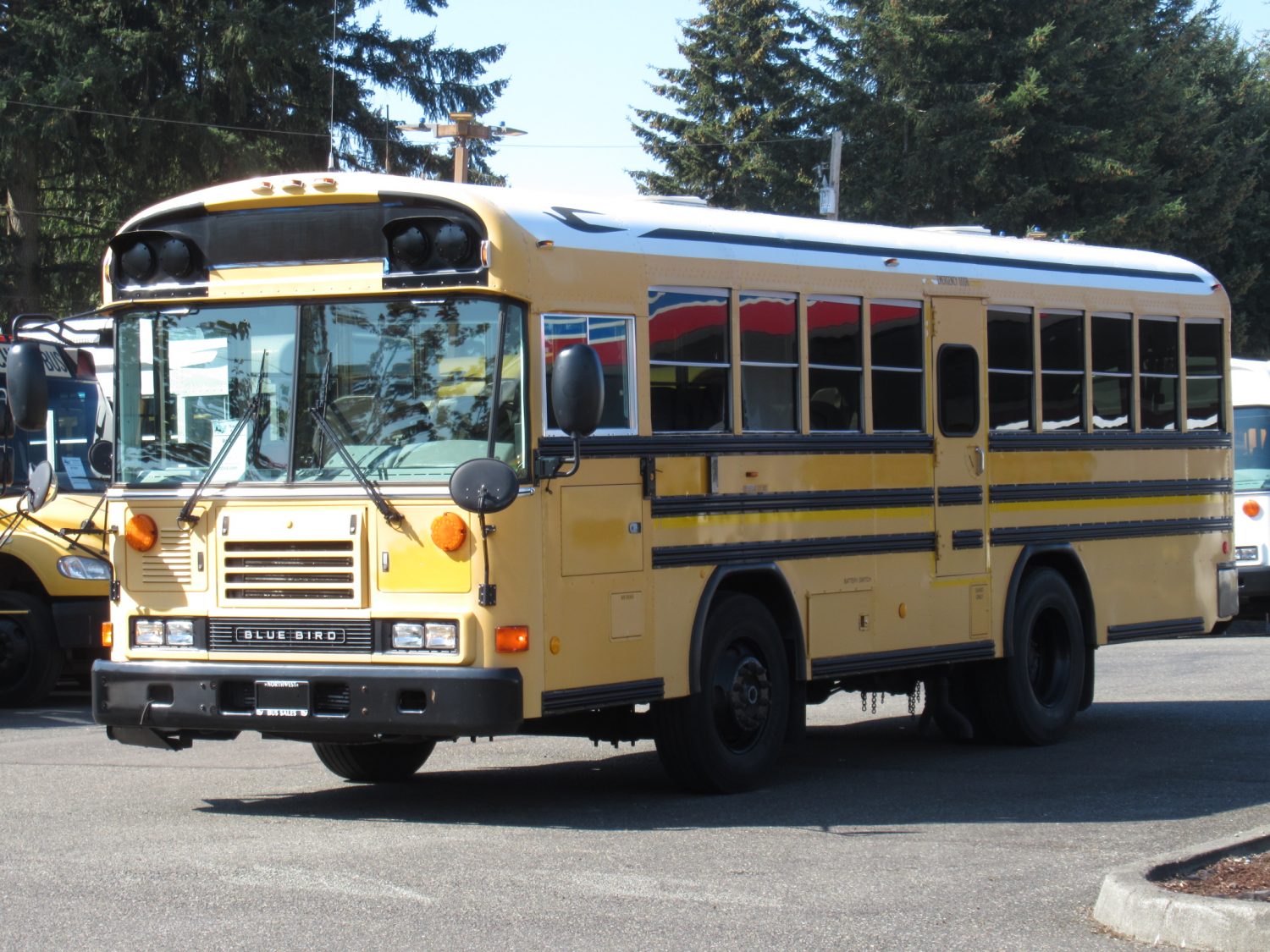 2007 Blue Bird All American 20 Passenger + 2 Wheelchair Short School Bus - B43207 - Image 2