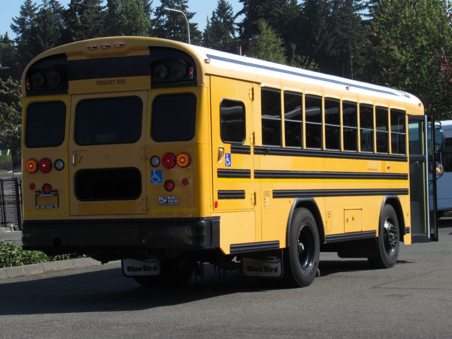 2007 Blue Bird All American 20 Passenger + 2 Wheelchair Short School Bus - B43207 - Image 3