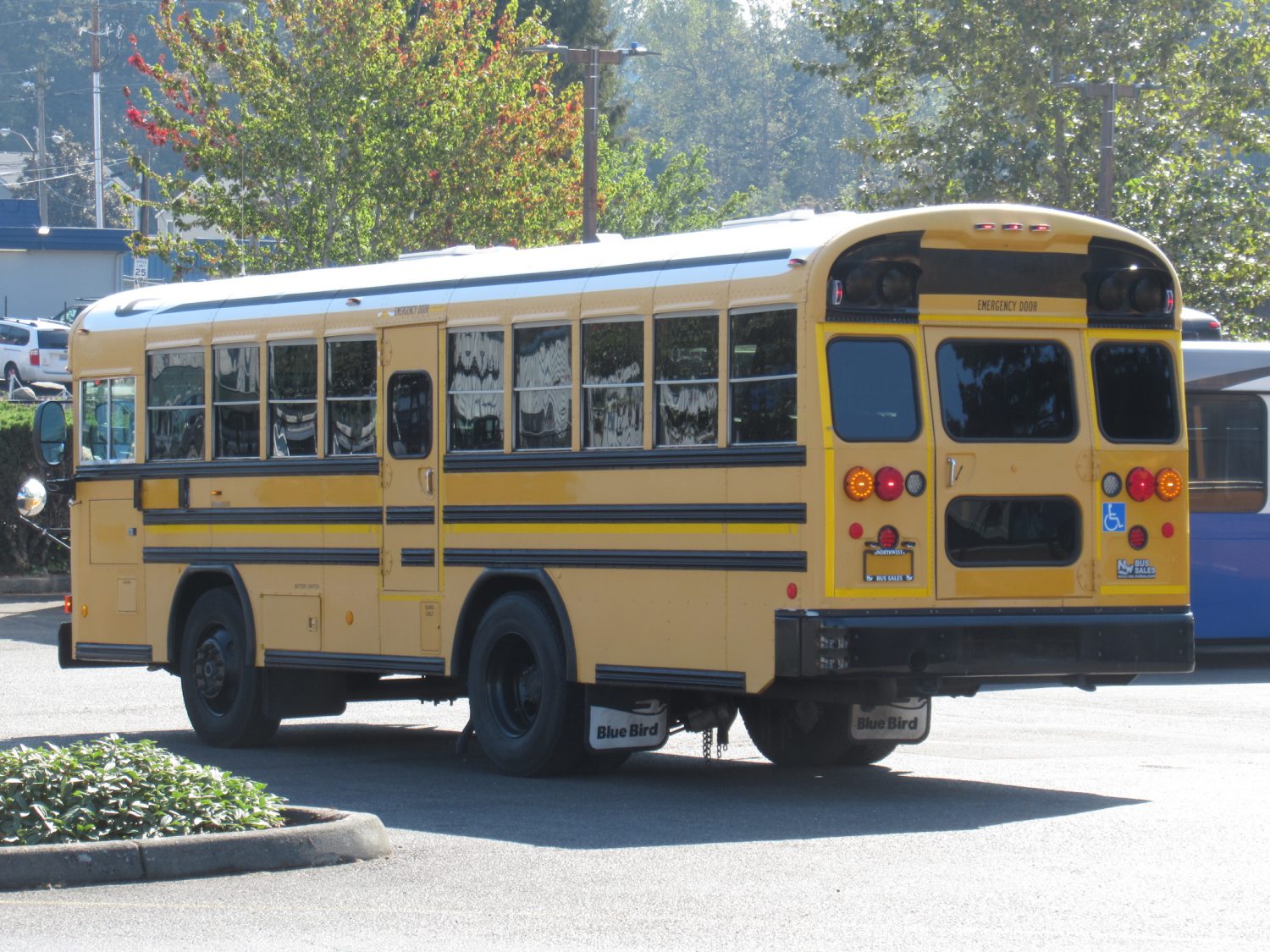 2007 Blue Bird All American 20 Passenger + 2 Wheelchair Short School Bus - B43207 - Image 4