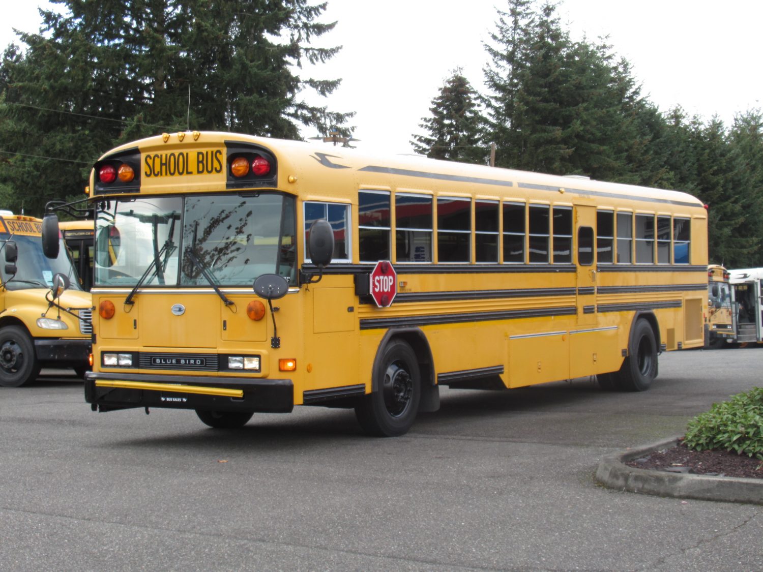 2007 Blue Bird All American 78 Passenger School Bus - B39853 - Image 2