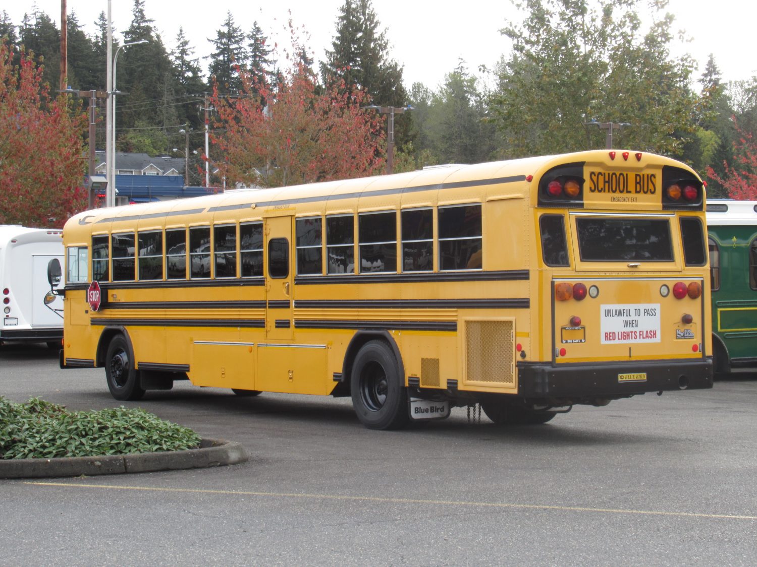 2007 Blue Bird All American 78 Passenger School Bus - B39853 - Image 4