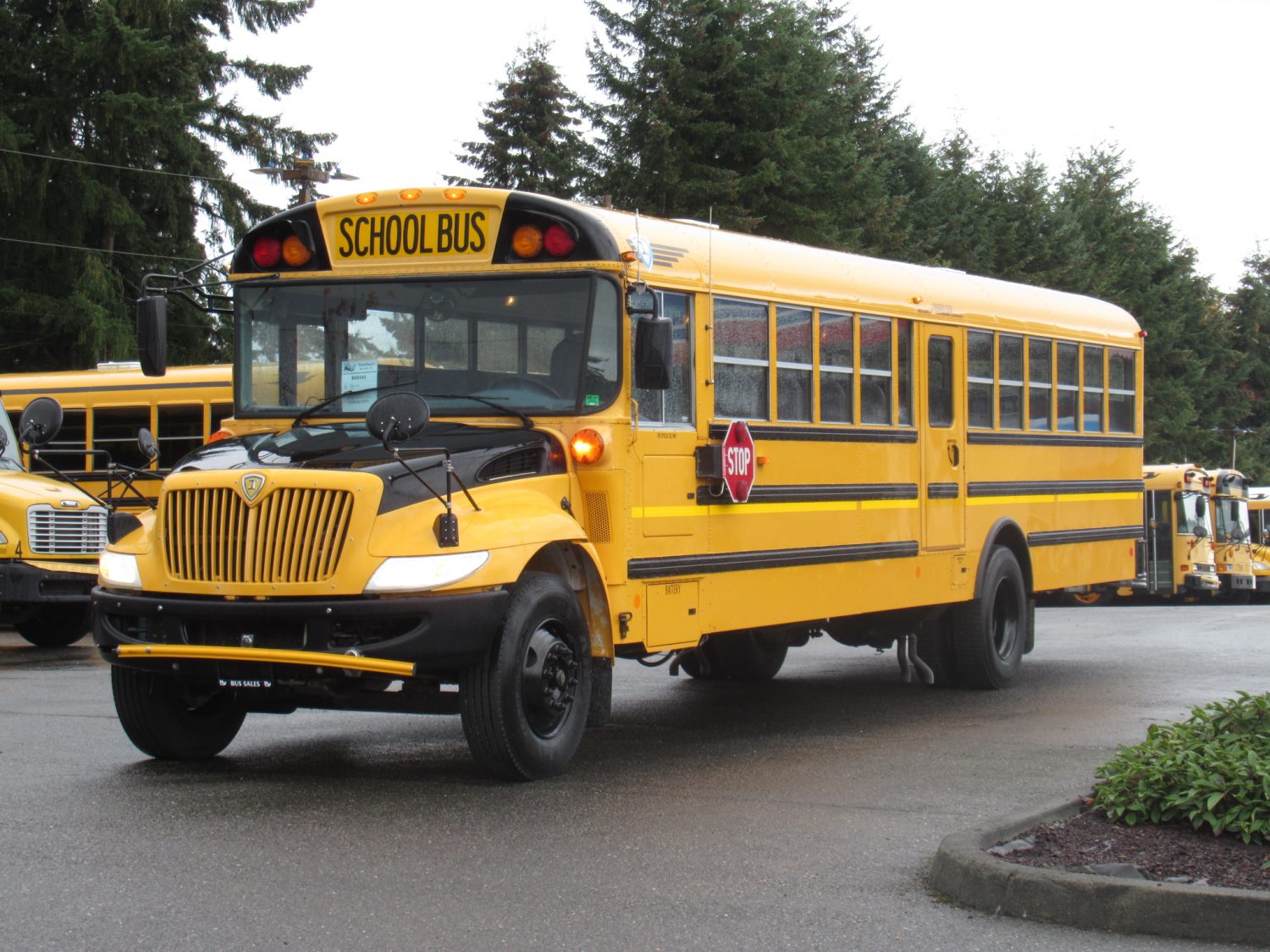 2010 IC CE-300 71 Passenger School Bus - B89343 - Image 2