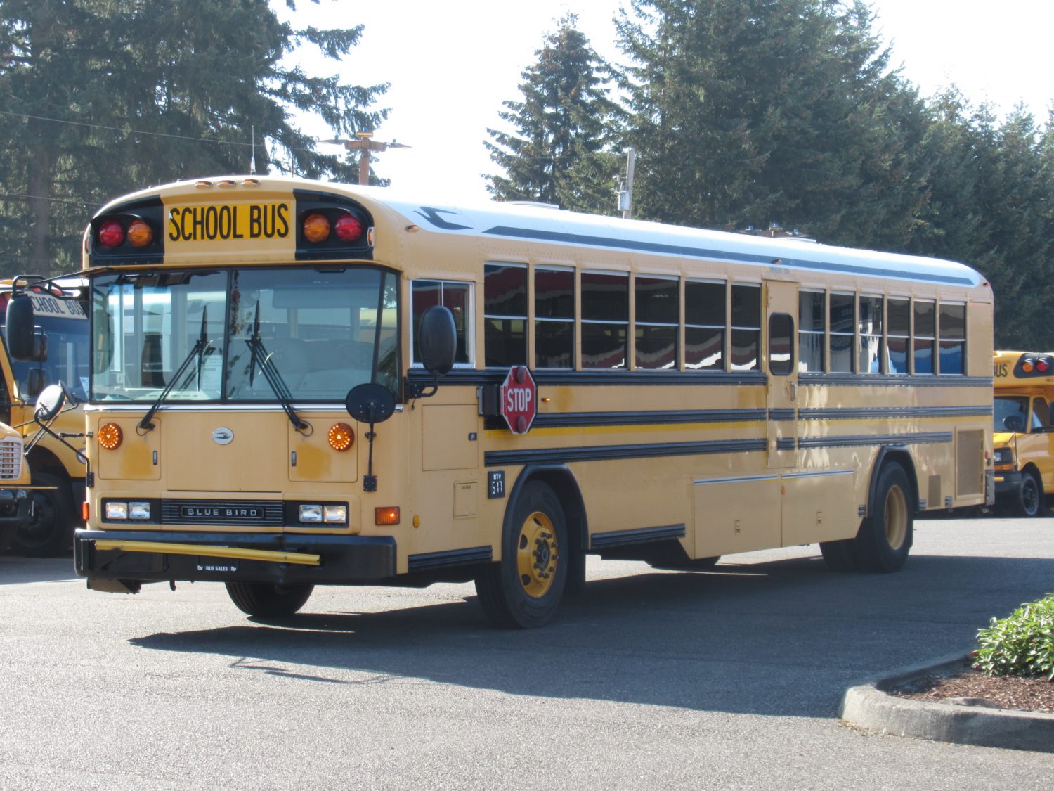 2007 Blue Bird All American 84 Passenger School Bus - B38880 - Image 2