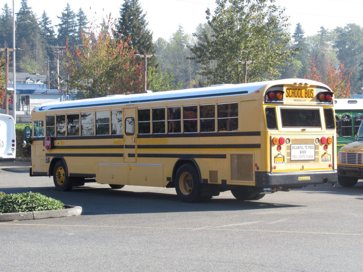 2007 Blue Bird All American 84 Passenger School Bus - B38880 - Image 4