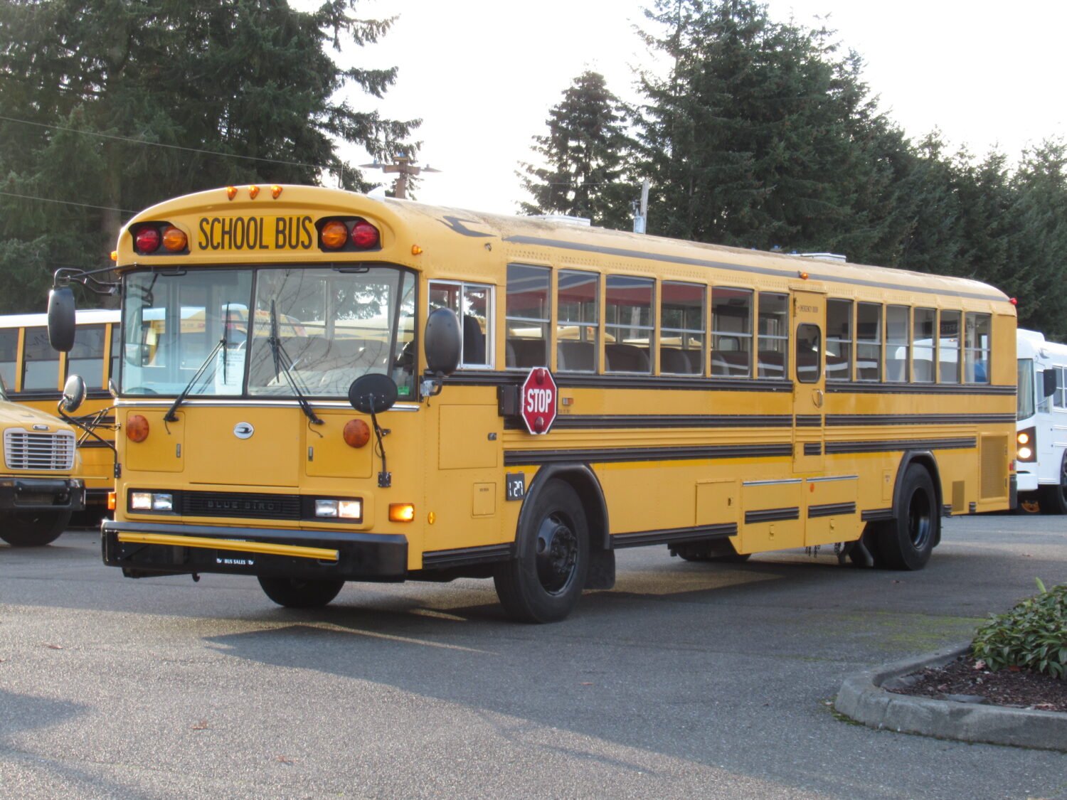 2003 Blue Bird All American 84 Passenger School Bus - B08898 - Image 2