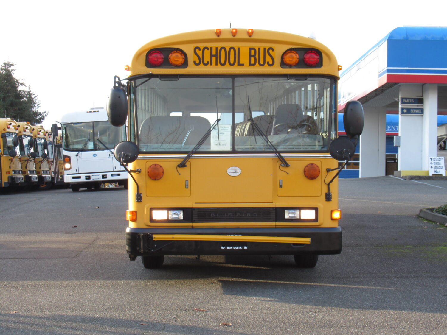 2003 Blue Bird All American 84 Passenger School Bus - B08898 - Image 12