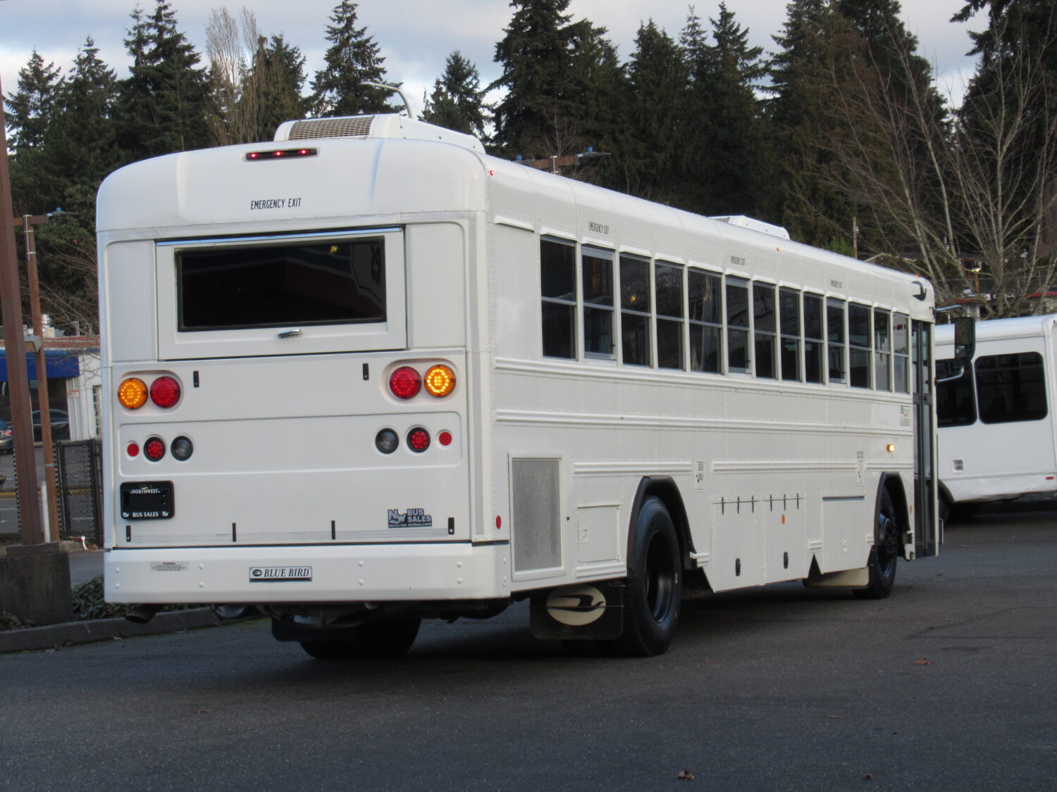 2012 Blue Bird All American 36 Passenger + Interior Luggage Commercial Bus - B84202 - Image 3