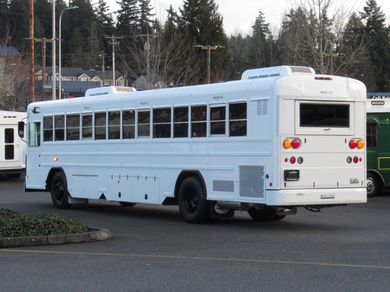 2012 Blue Bird All American 36 Passenger + Interior Luggage Commercial Bus - B84202 - Image 4