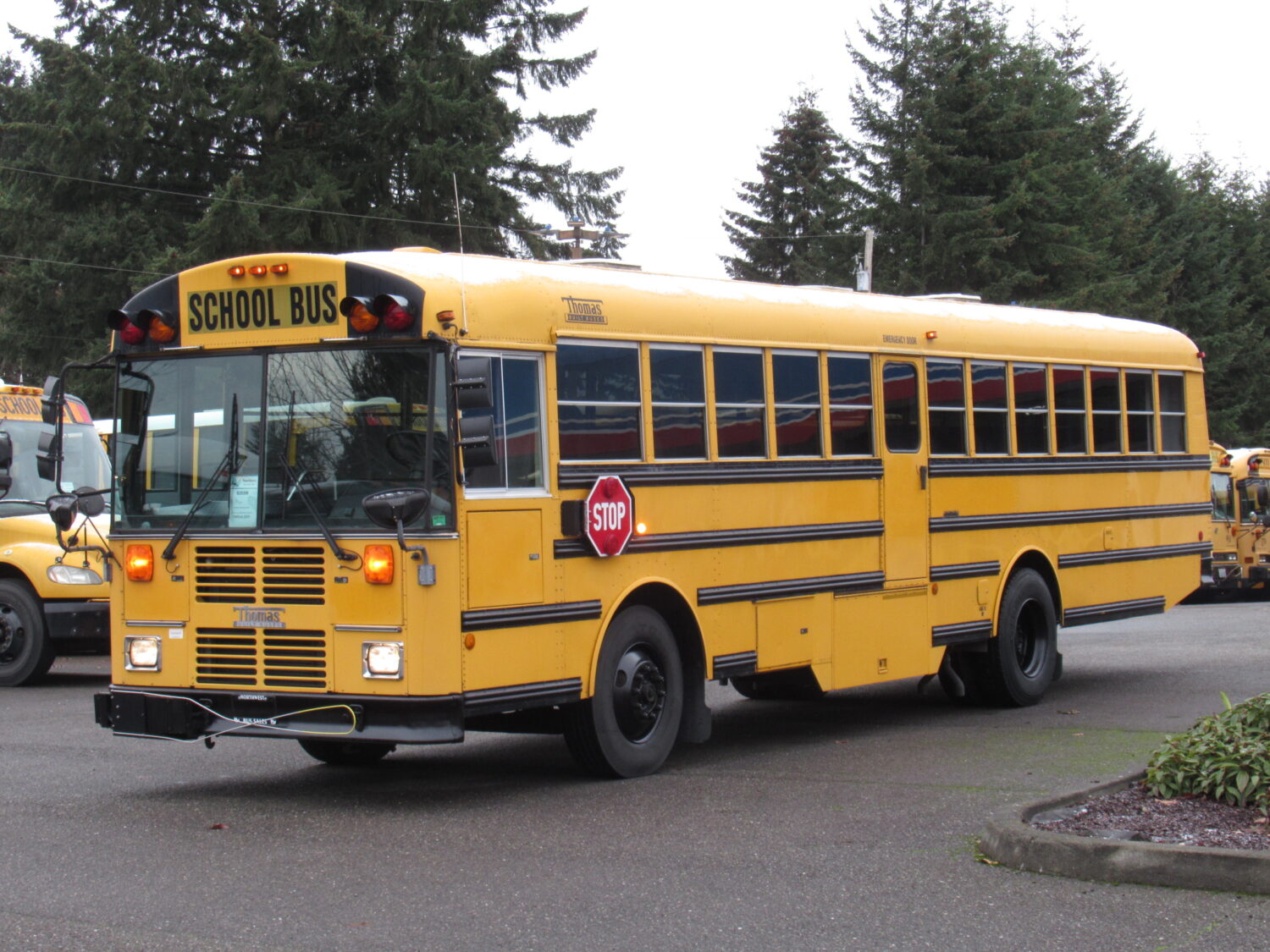 2003 Thomas Saf-T-Liner 78 Passenger School Bus - B26396 - Image 2
