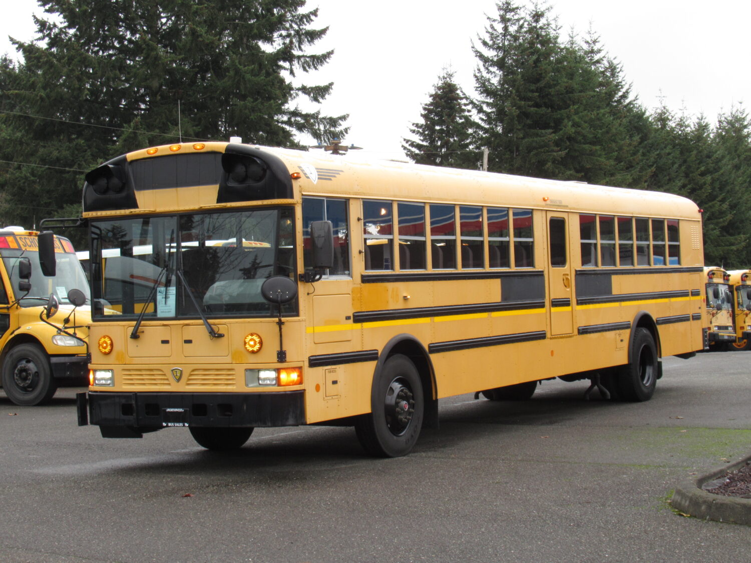 2009 International RE-300 78 Passenger School Bus - B47229 - Image 2
