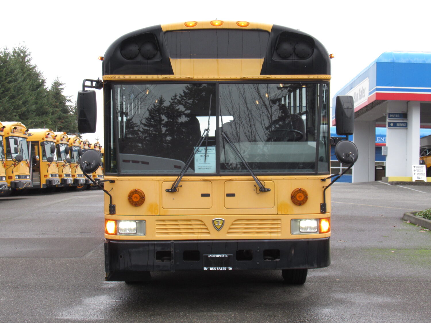2009 International RE-300 78 Passenger School Bus - B47229 - Image 12