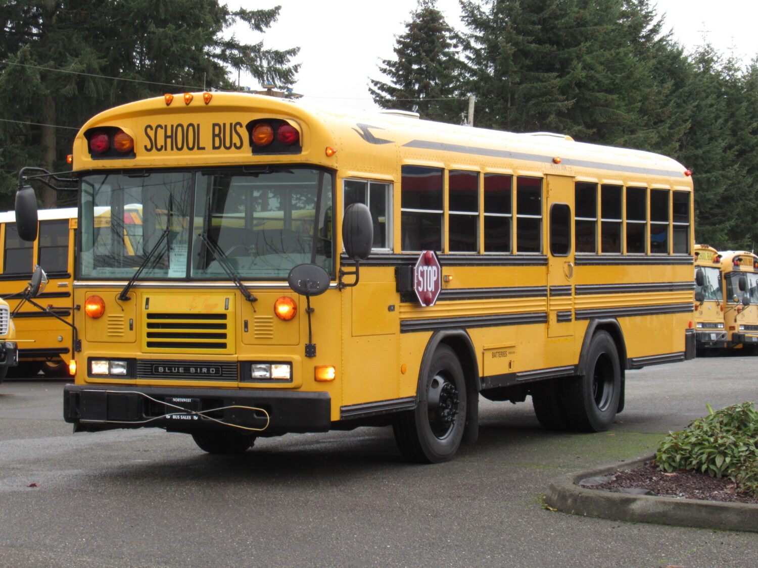 2004 Blue Bird All American 18 Passenger + 3 Wheelchair Short School Bus - B15043 - Image 2