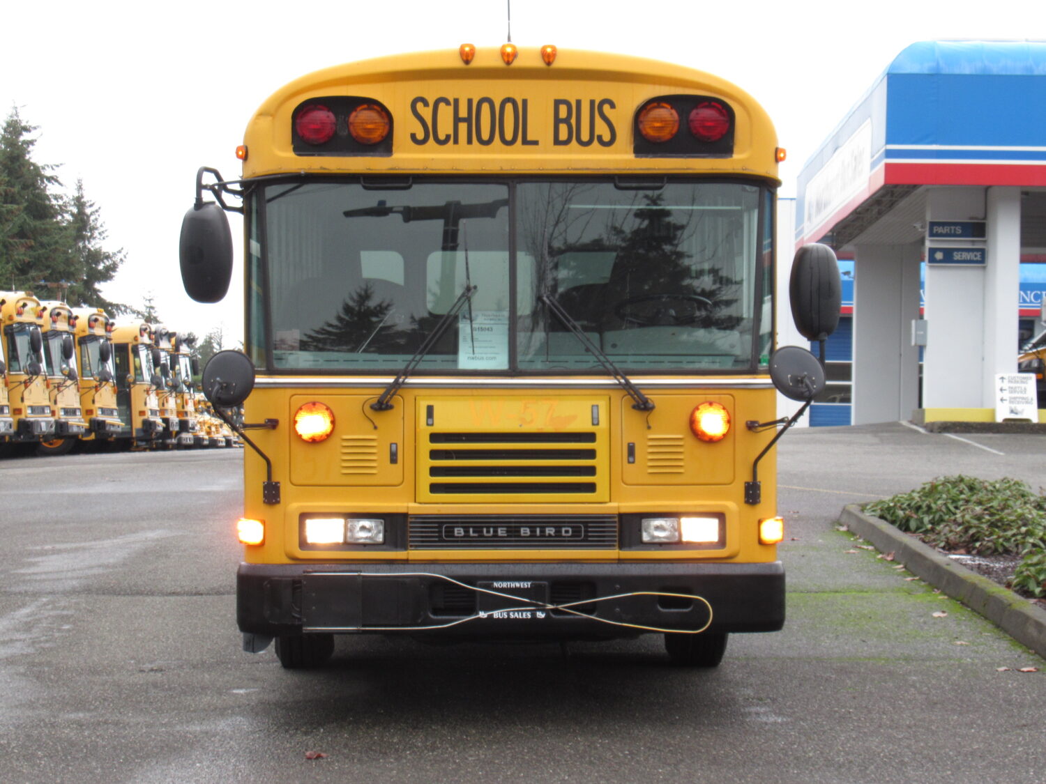2004 Blue Bird All American 18 Passenger + 3 Wheelchair Short School Bus - B15043 - Image 12