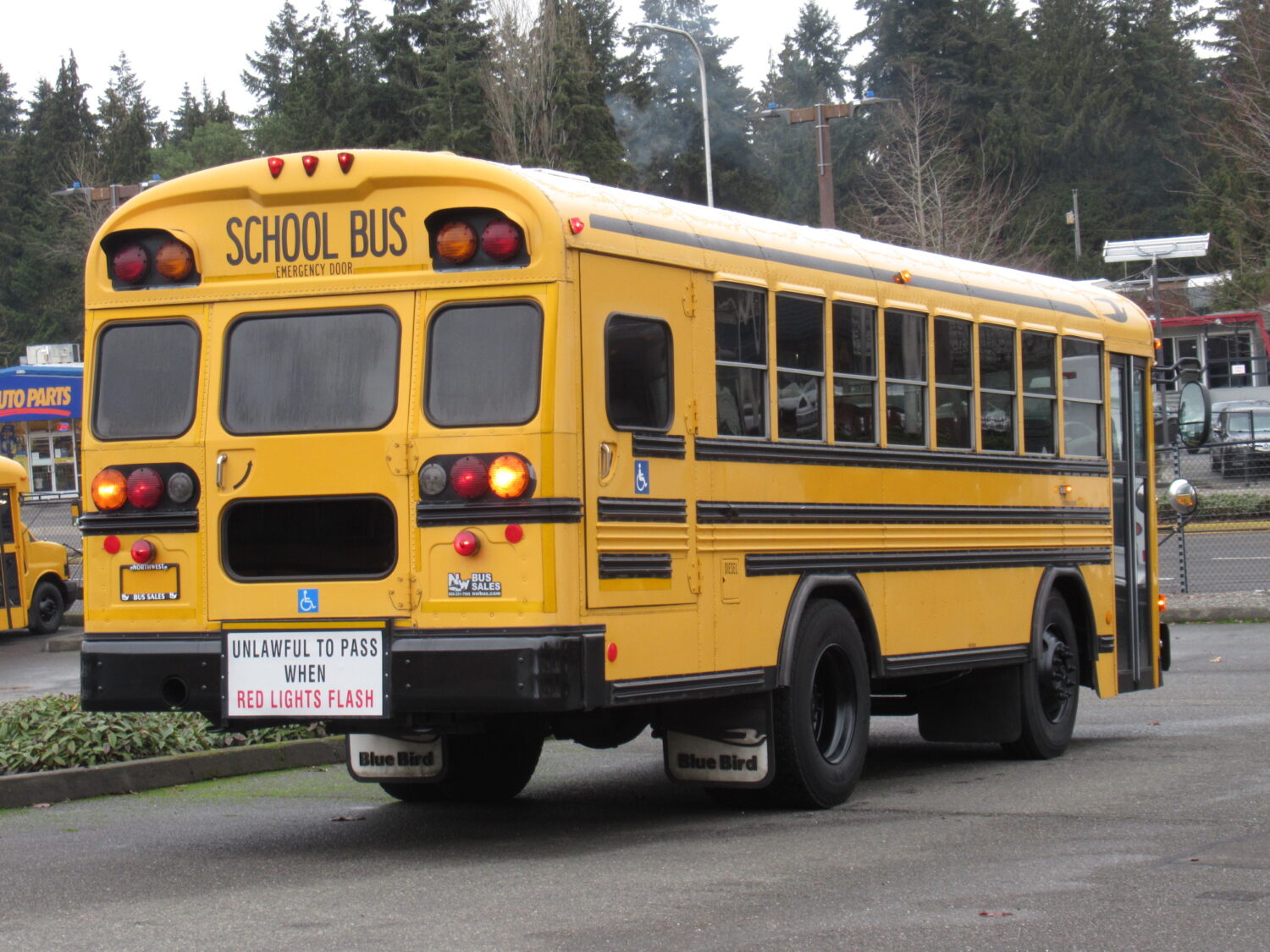 2004 Blue Bird All American 18 Passenger + 3 Wheelchair Short School Bus - B15043 - Image 3