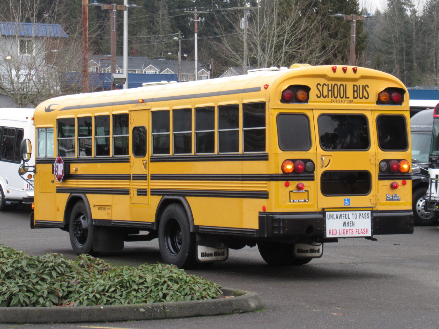 2004 Blue Bird All American 18 Passenger + 3 Wheelchair Short School Bus - B15043 - Image 4