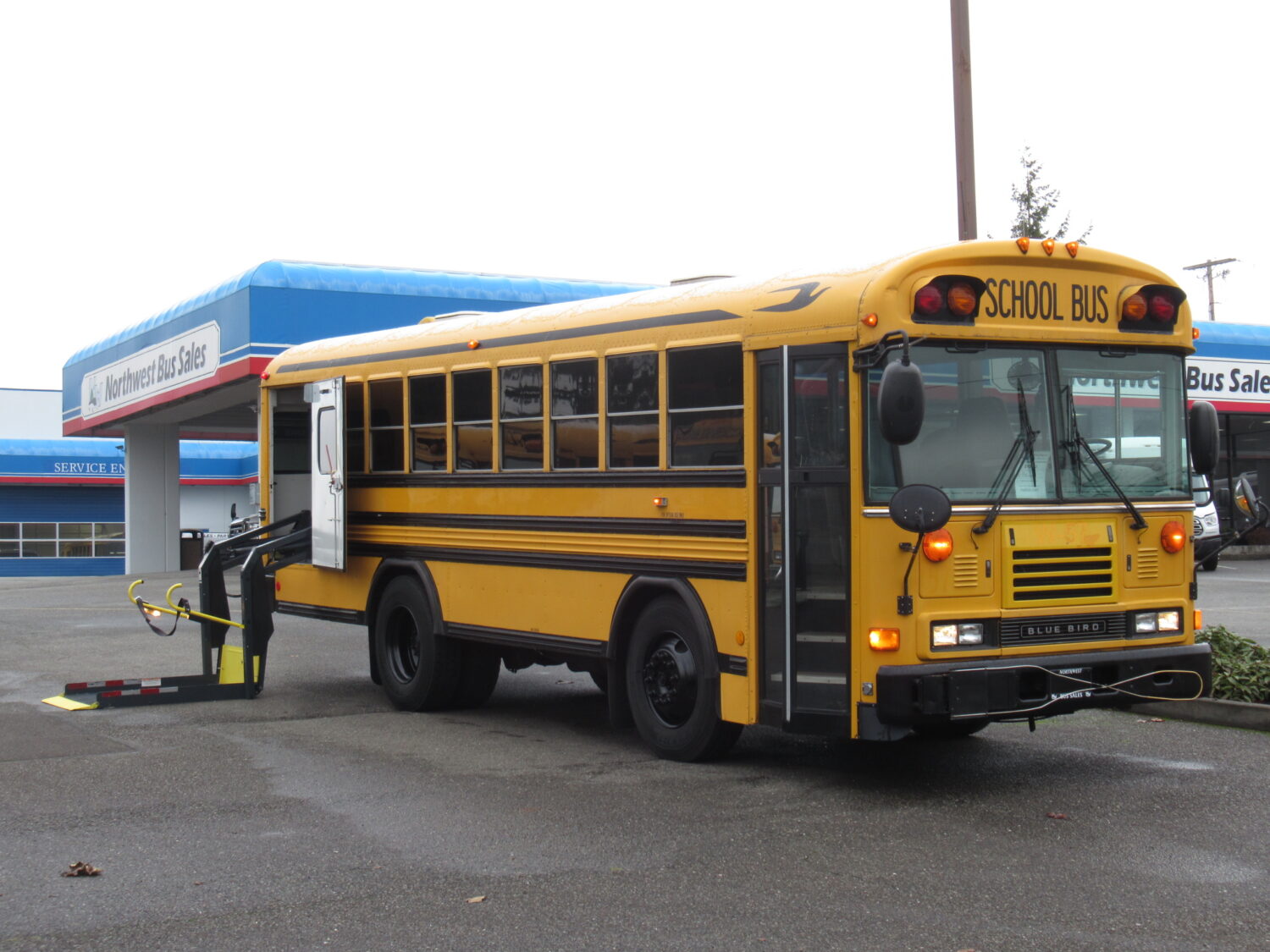 2004 Blue Bird All American 18 Passenger + 3 Wheelchair Short School Bus - B15043