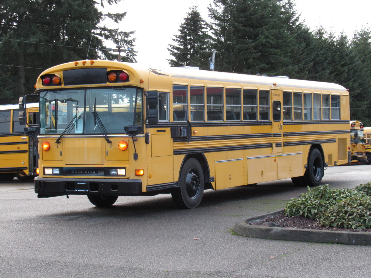 2001 Blue Bird All American 81 Passenger School Bus - B98481 - Image 2