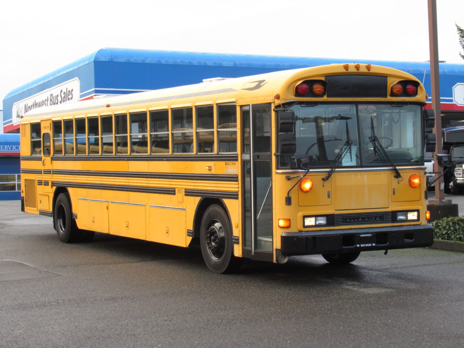 2001 Blue Bird All American 81 Passenger School Bus - B98481