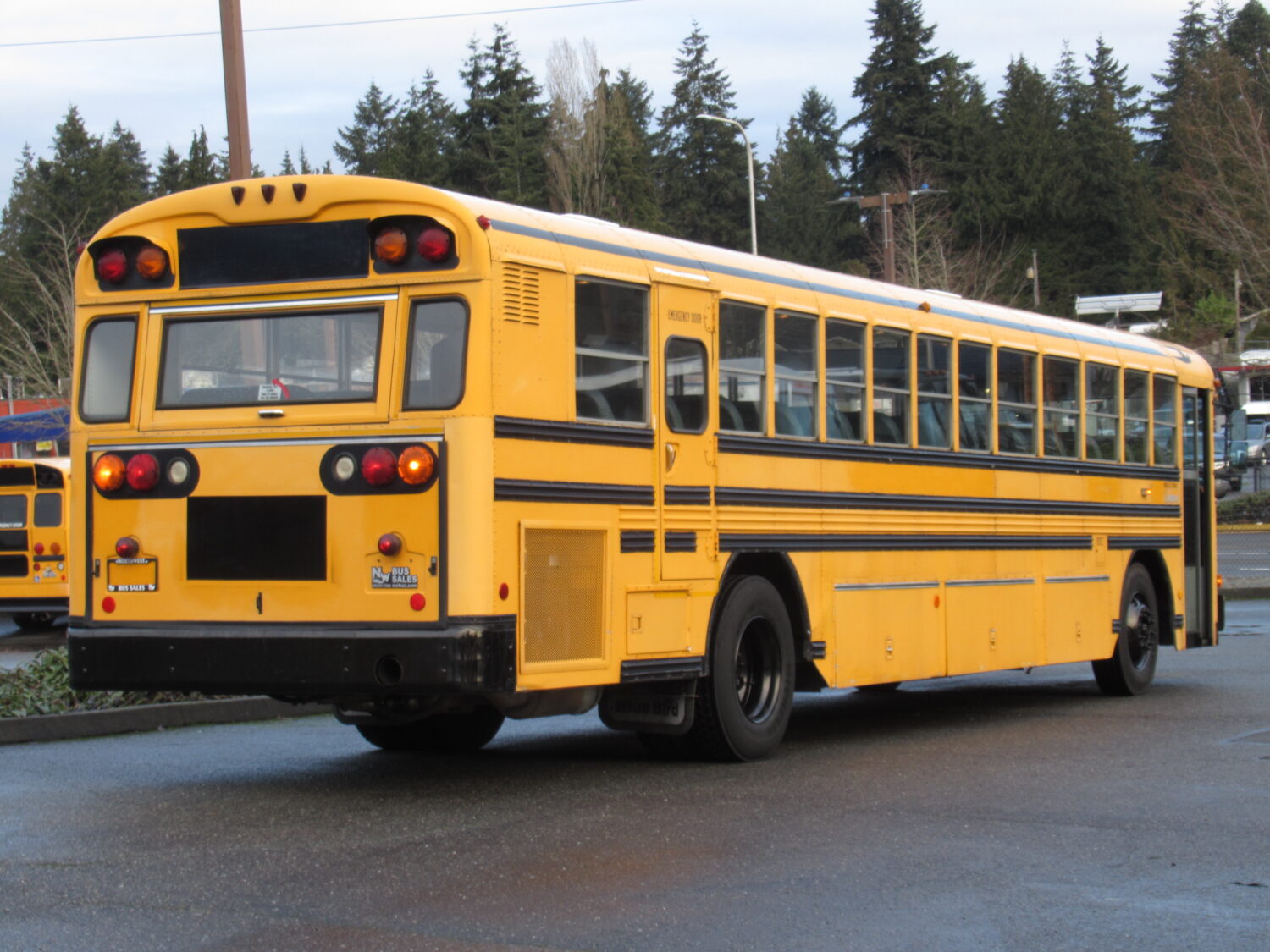 2001 Blue Bird All American 81 Passenger School Bus - B98481 - Image 3