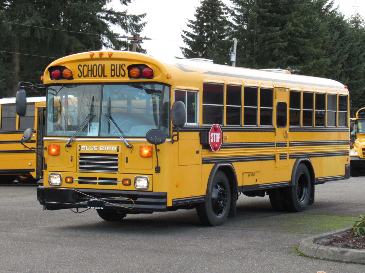 2003 Blue Bird TC-2000 Handy Bus Short School Bus - B07027 - Image 2