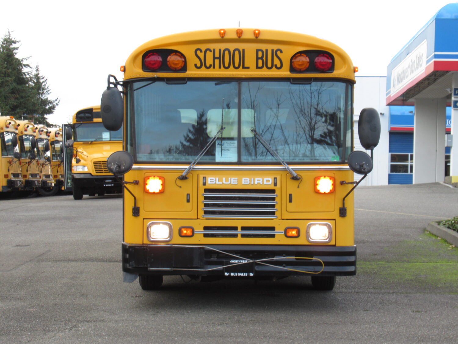 2003 Blue Bird TC-2000 Handy Bus Short School Bus - B07027 - Image 12