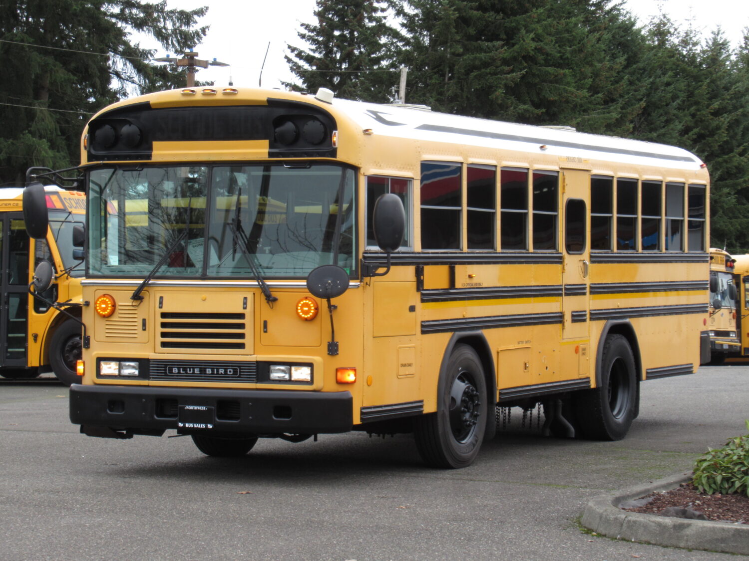2007 Blue Bird All American 24 Passenger + 1 Wheelchair Short School Bus - B43206 - Image 2