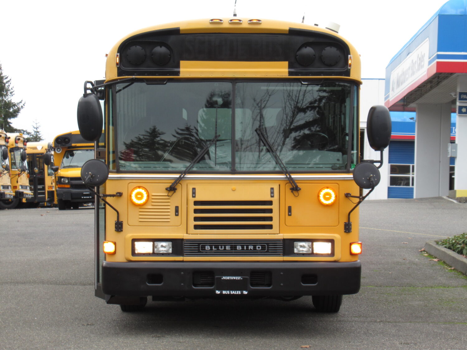 2007 Blue Bird All American 24 Passenger + 1 Wheelchair Short School Bus - B43206 - Image 12