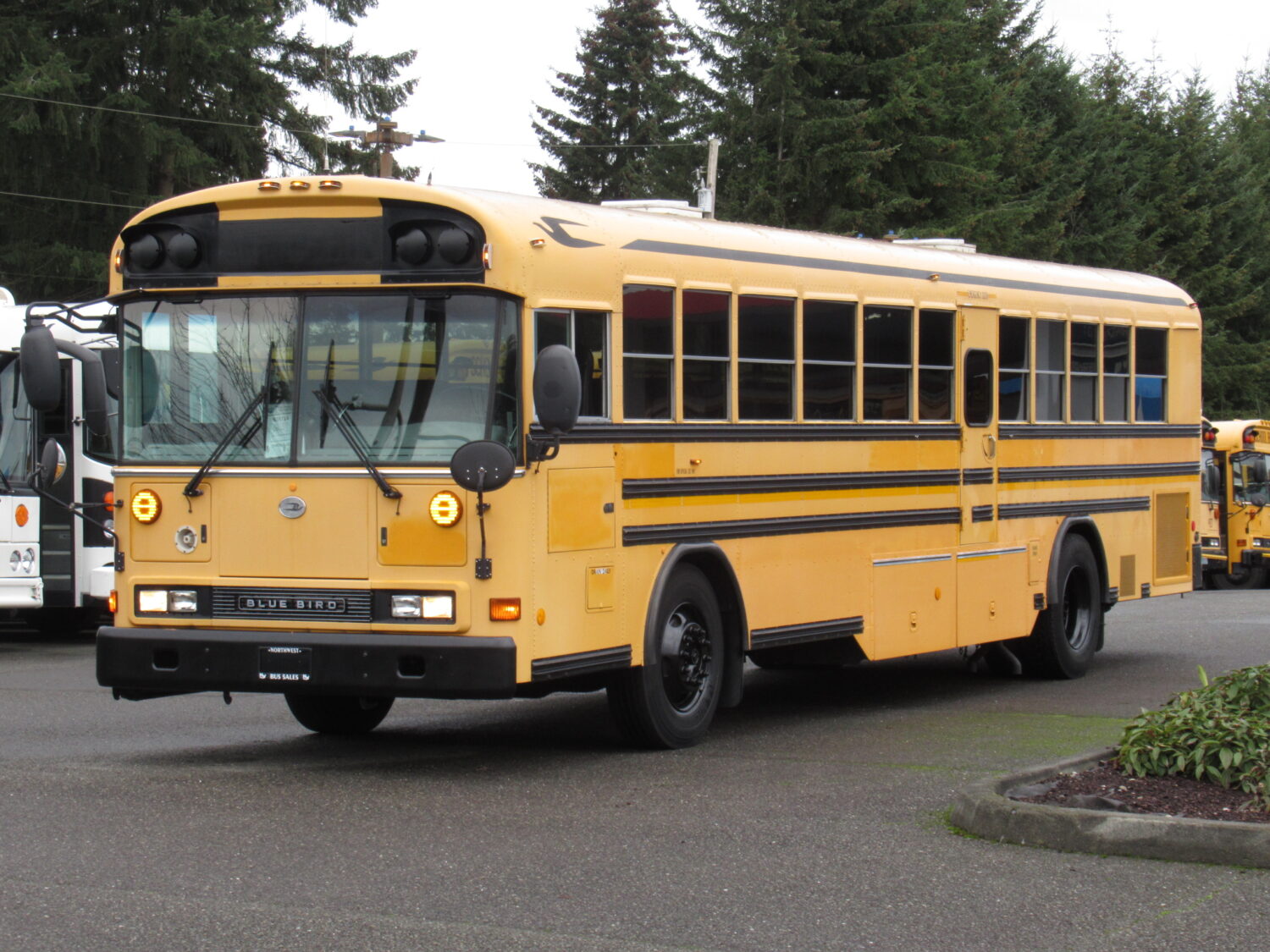 2006 Blue Bird All American 75 Passenger School Bus - B31724 - Image 2