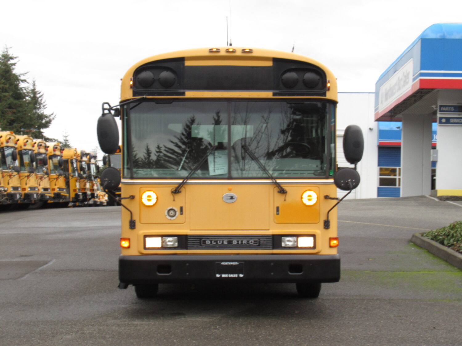 2006 Blue Bird All American 75 Passenger School Bus - B31724 - Image 12