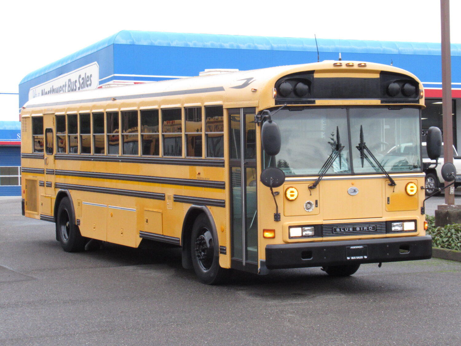 2006 Blue Bird All American 75 Passenger School Bus - B31724