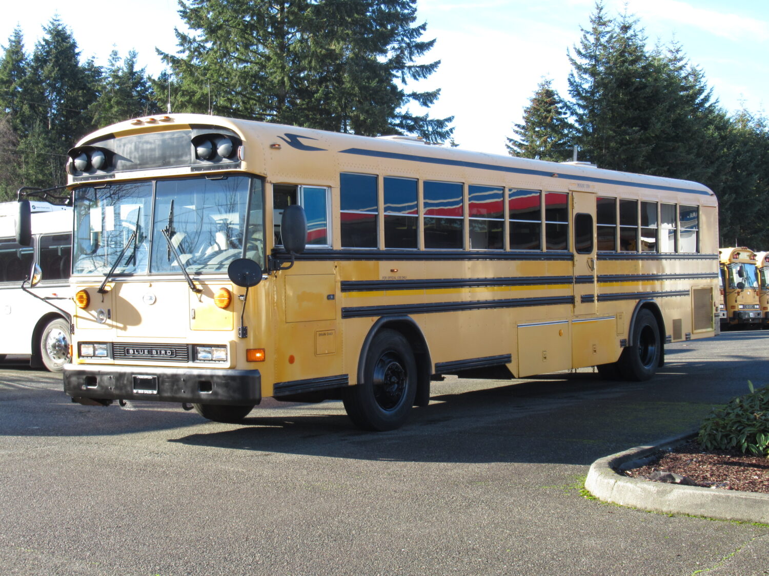 2006 Blue Bird All American 75 Passenger School Bus - B31726 - Image 2