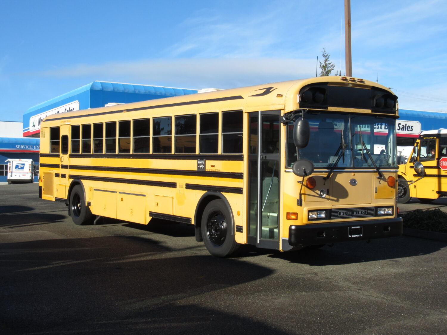2006 Blue Bird All American 75 Passenger School Bus - B31726