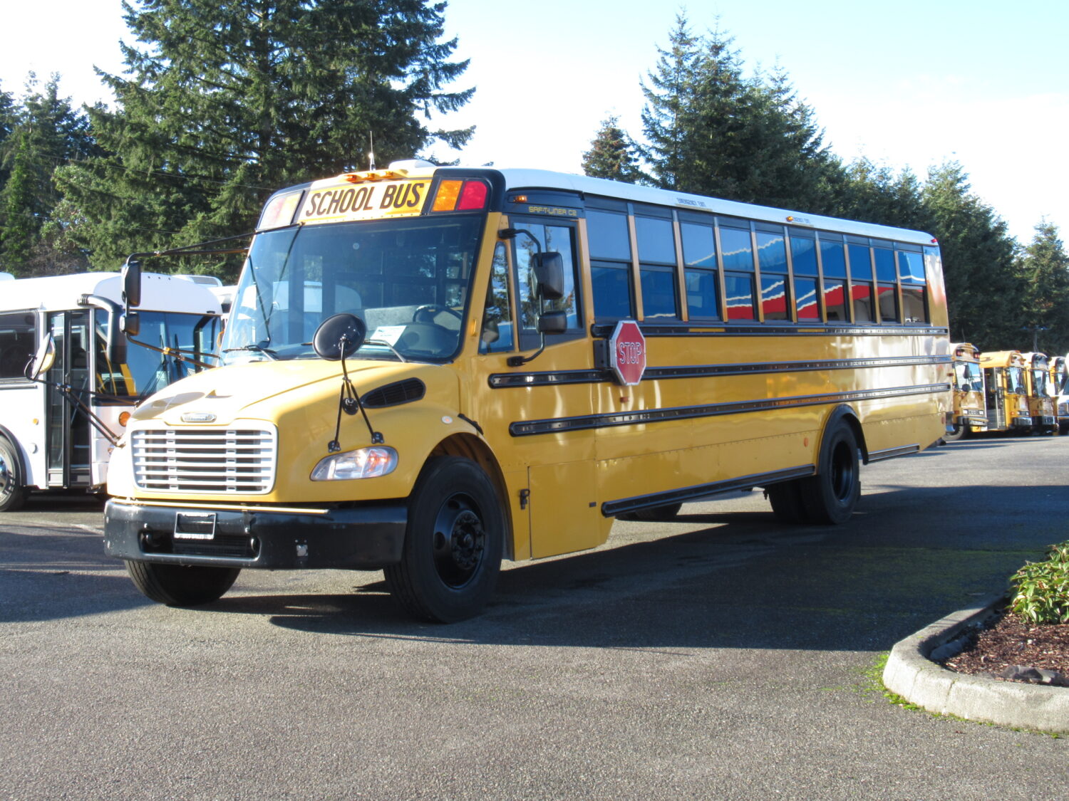 2009 Thomas Saf-T-Liner C2 71 Passenger School Bus - B74394 - Image 2