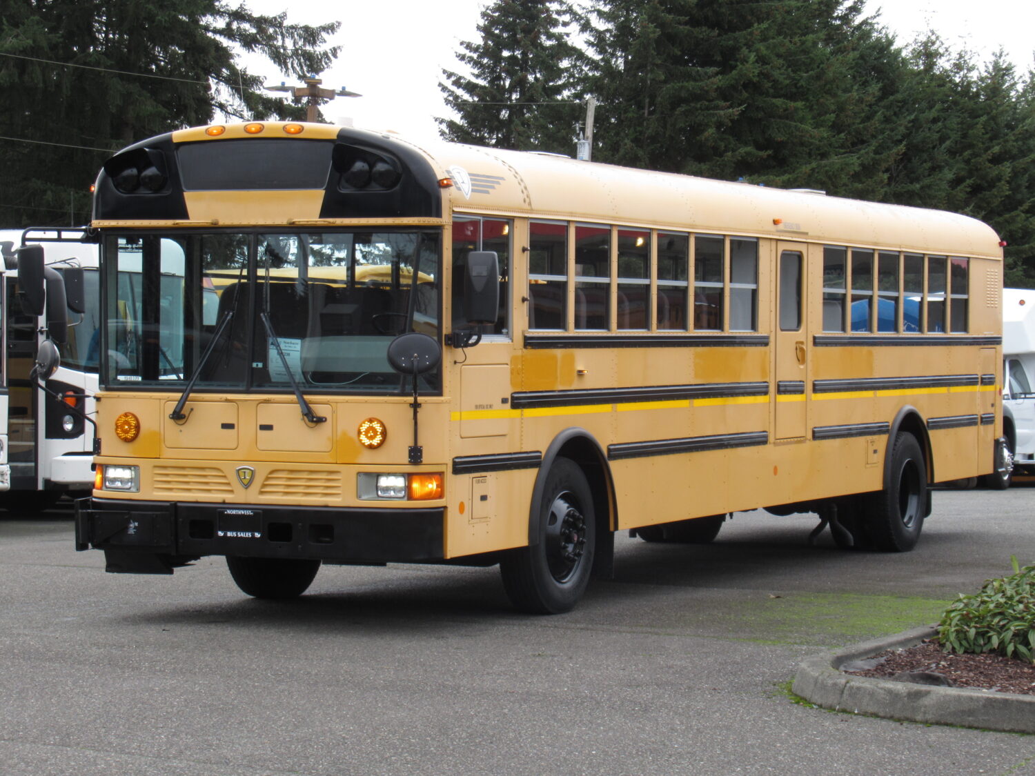 2009 International RE-300 78 Passenger School Bus - B47236 - Image 2