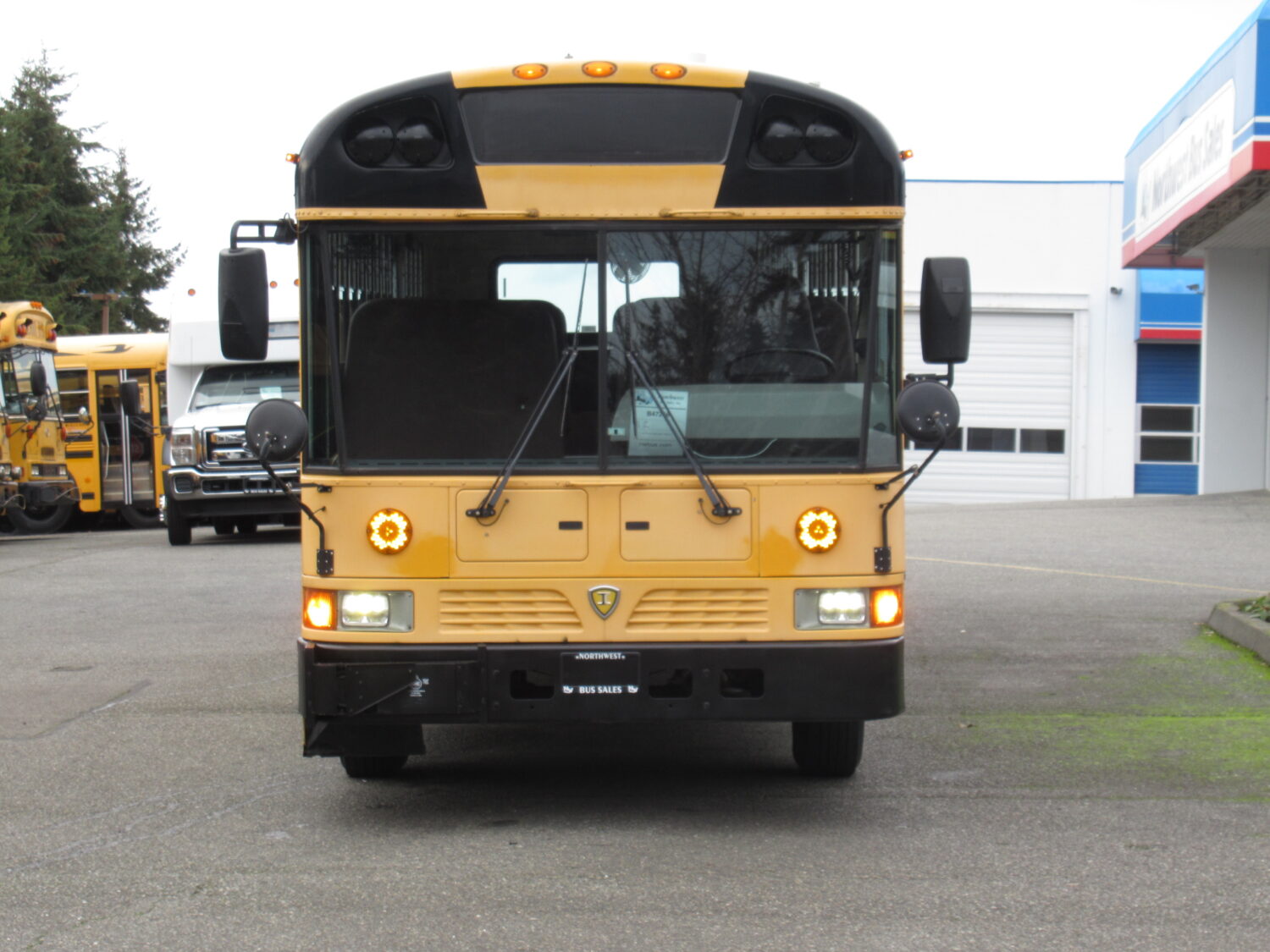 2009 International RE-300 78 Passenger School Bus - B47236 - Image 12