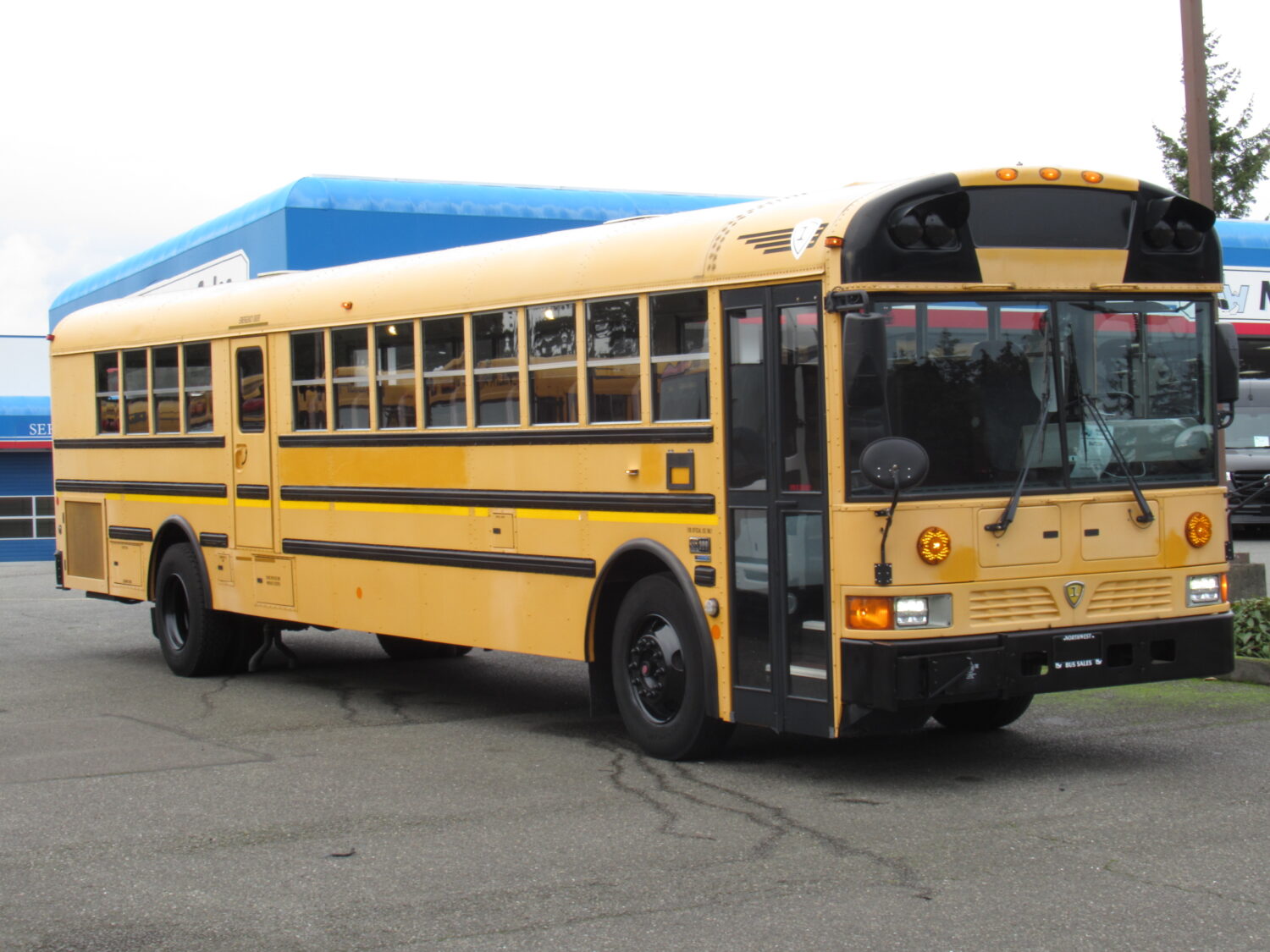 2009 International RE-300 78 Passenger School Bus - B47236