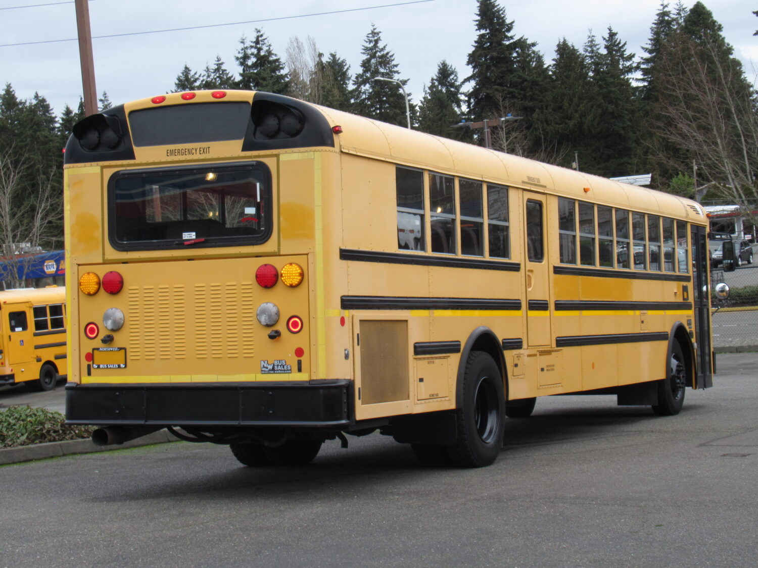 2009 International RE-300 78 Passenger School Bus - B47236 - Image 3