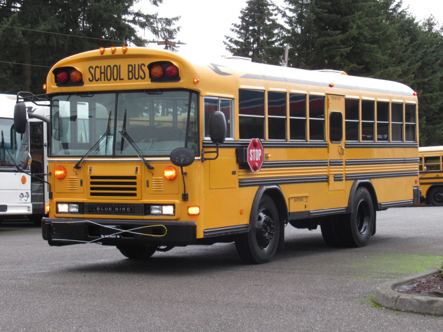 2004 Blue Bird All American 16 Passenger + 3 Wheelchair Short School Bus - B15332 - Image 2