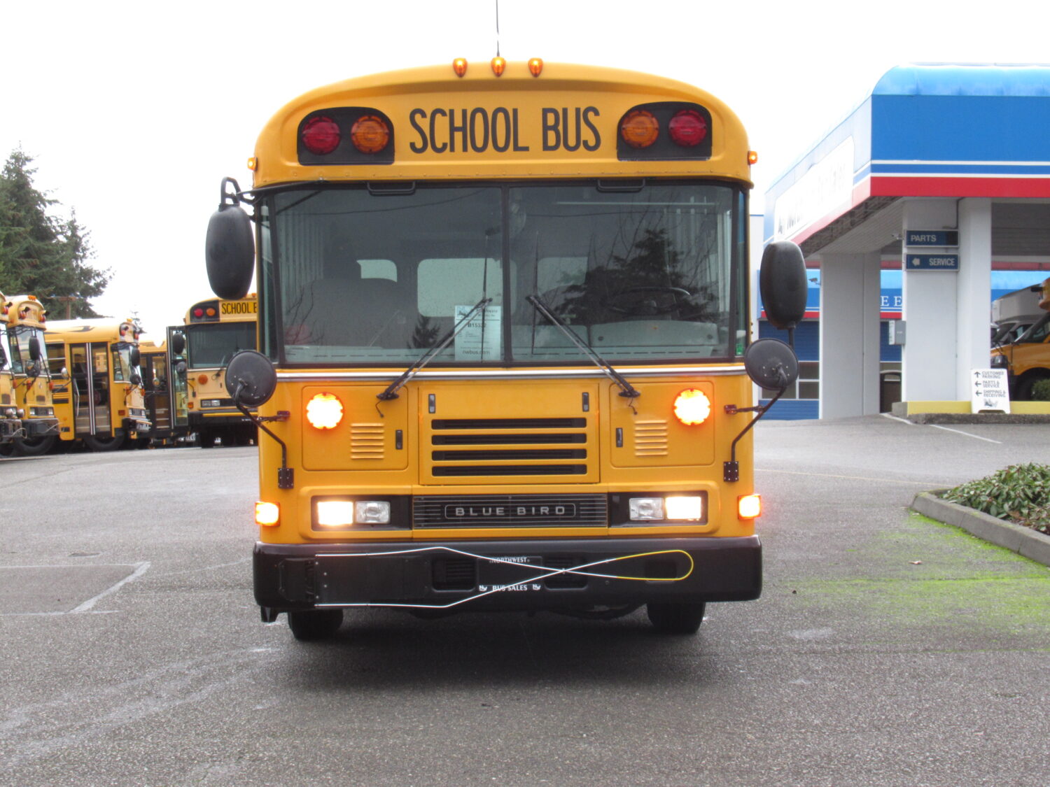 2004 Blue Bird All American 16 Passenger + 3 Wheelchair Short School Bus - B15332 - Image 12