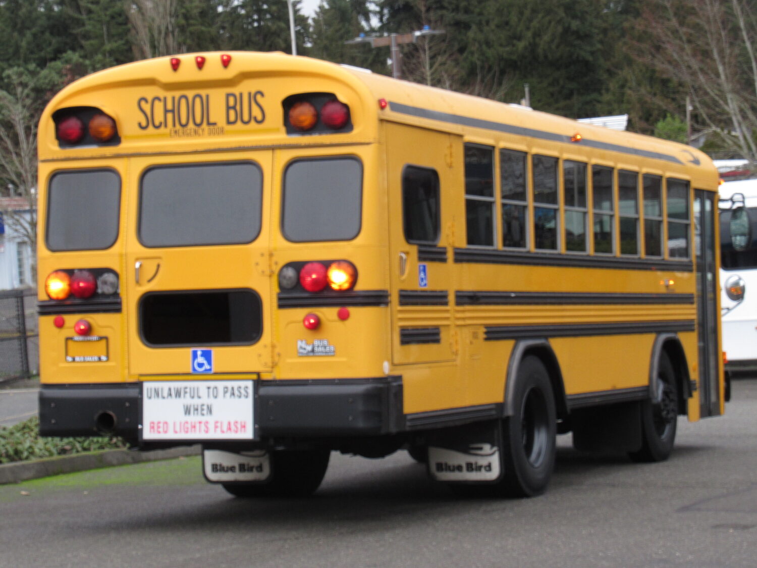 2004 Blue Bird All American 16 Passenger + 3 Wheelchair Short School Bus - B15332 - Image 3