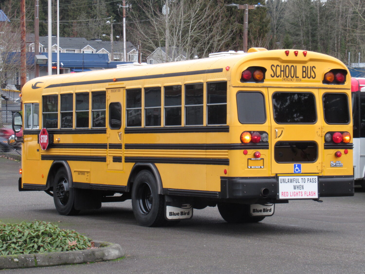 2004 Blue Bird All American 16 Passenger + 3 Wheelchair Short School Bus - B15332 - Image 4